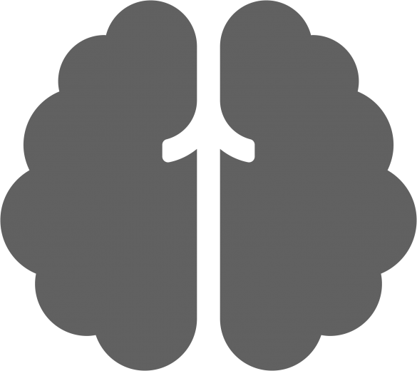 brain solid
